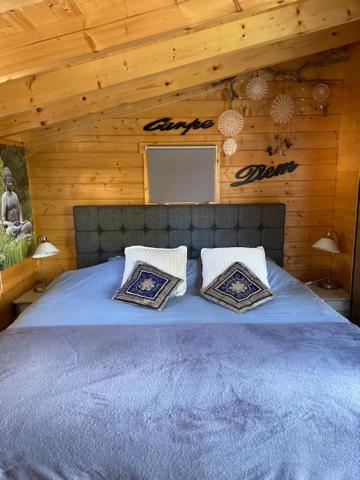 Tinyhouse Woody At The Water Apartment Заандам Екстериор снимка